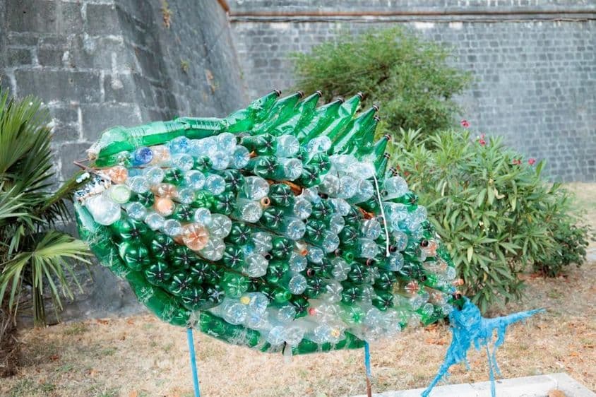 پلاسٹک کی بوتلوں سے چپکا ہوا مچھلی