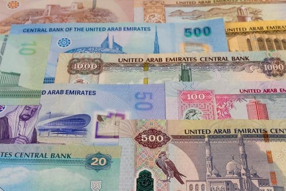 20، 50، 100، 500، 1000 مالیت کے درہم نوٹ میز پر