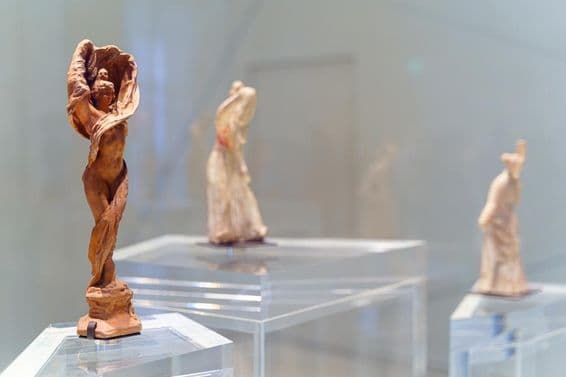 امارات میوزیم نمائش.