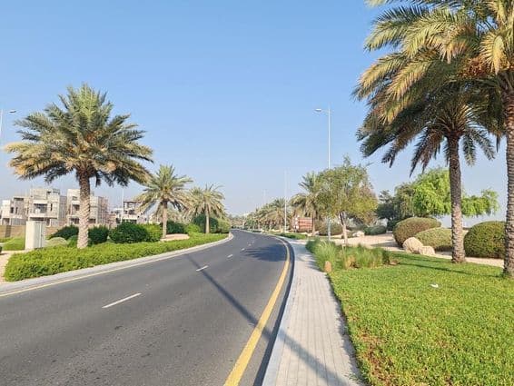 دبئی سڑک، کھجور کے درخت اور سبز گھاس