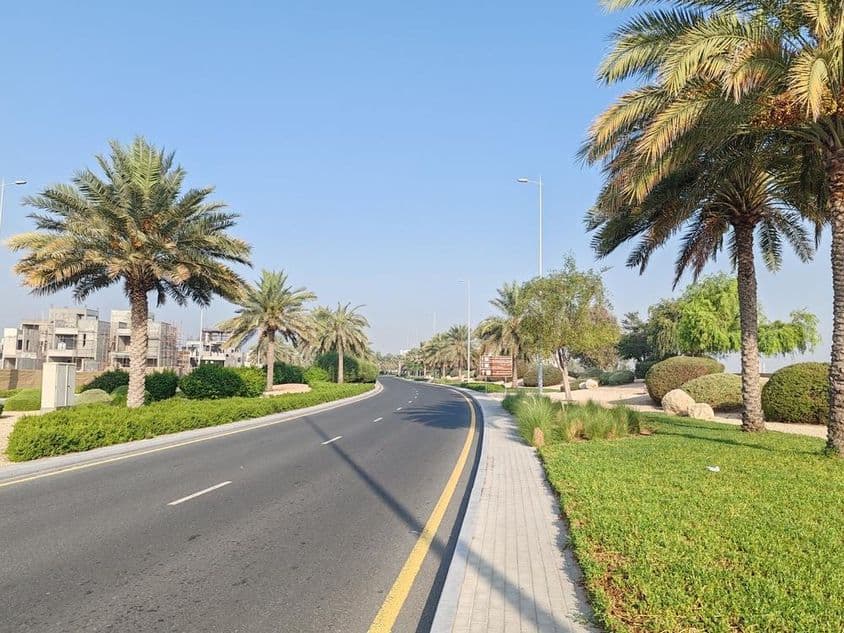 دبئی سڑک، کھجور کے درخت اور سبز گھاس