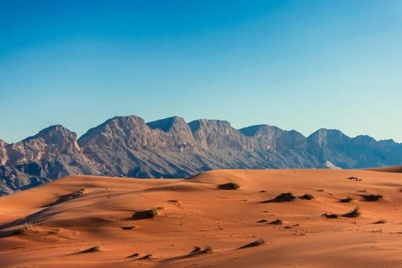 پس منظر میں پہاڑوں کے ساتھ یو اے ای کا صحرا