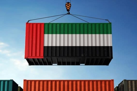 یو اے ای کے جھنڈے کے رنگوں میں ایک کنٹینر کو اٹھاتے ہوئے کرین