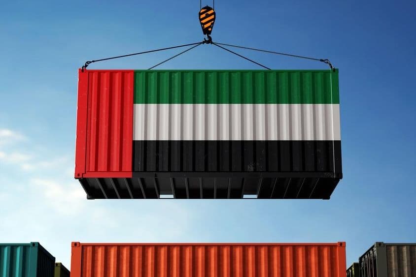 یو اے ای کے جھنڈے کے رنگوں میں ایک کنٹینر کو اٹھاتے ہوئے کرین