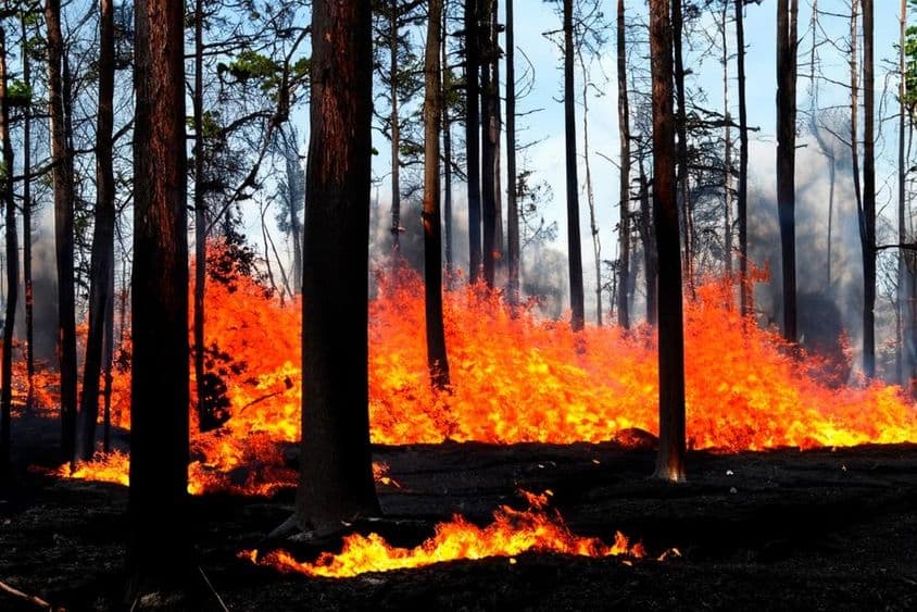 لاس اینجلس، مالبو، امریکہ میں جاری جنگلاتی آگ