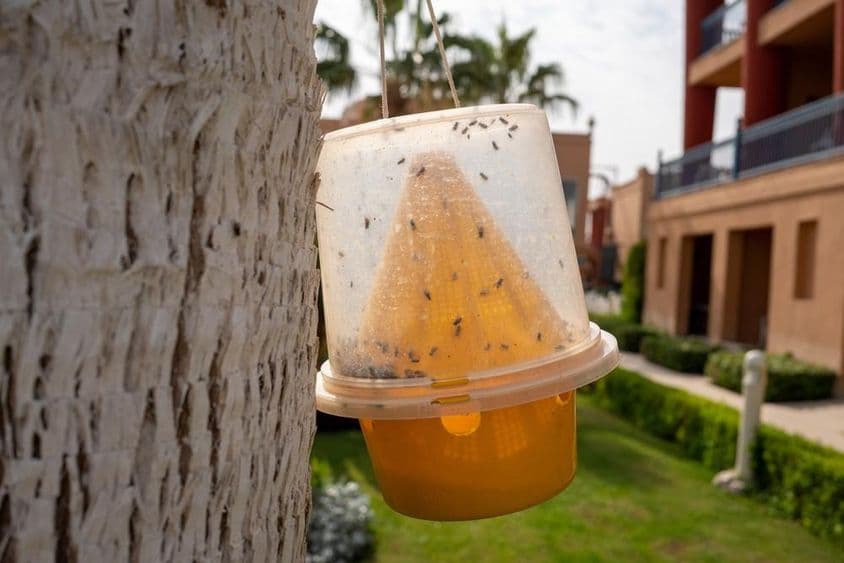 کیڑوں، جیسے مچھر اور مکھیوں کے لئے جال۔