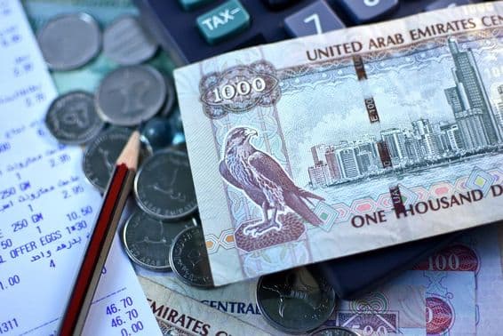 اماراتی ۱۰۰۰ درہم نوٹ اور کچھ سکے