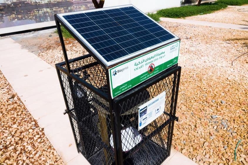 ابوظبی، مچھر مارنے والا سٹریٹ صنعتی سامان۔