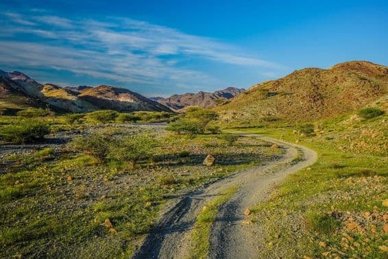 متحدہ عرب امارات میں سبز پہاڑ