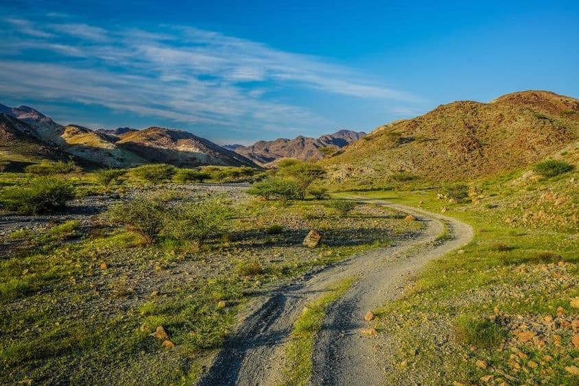 متحدہ عرب امارات میں سبز پہاڑ