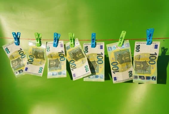 کپڑوں کی رسی پر خشک ہوتے 100 یورو کے نوٹ