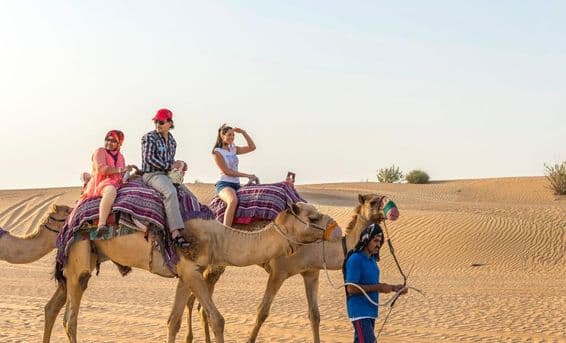 دبئی کے صحرا میں اونٹ کی سواری کرتے سیاح۔