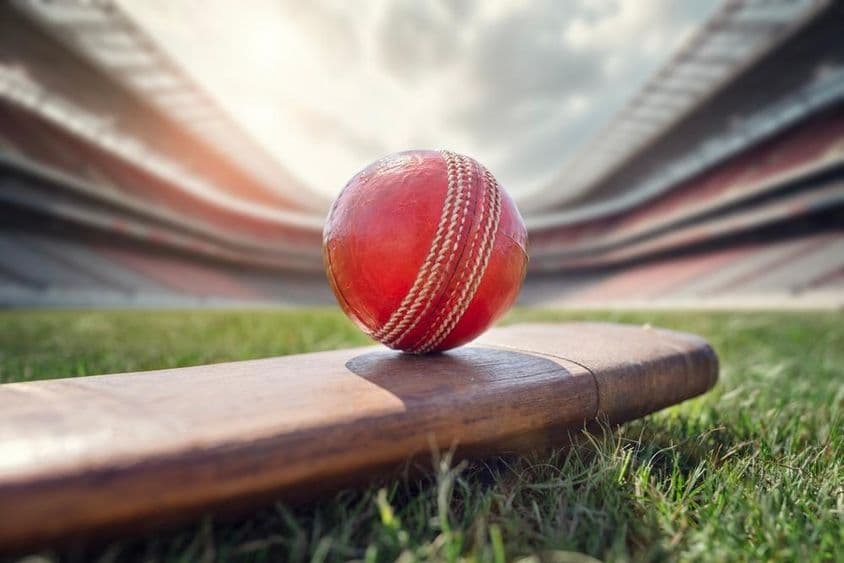 پیچہ گھاس پر ایک پرانا لکڑی کا کرکٹ بیٹ