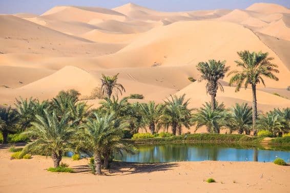 ال عین، ابو ظہبی، متحدہ عرب امارات۔