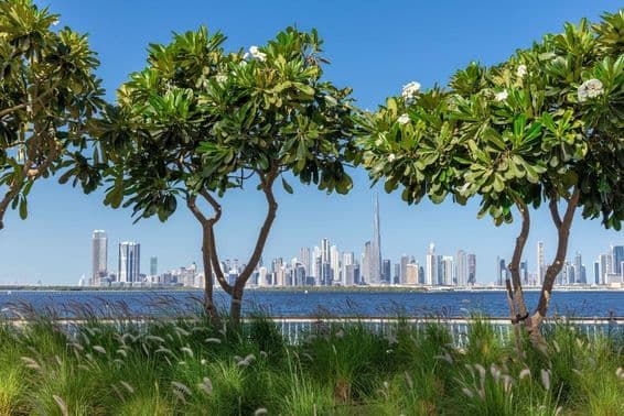 دبئی کریک کینال سے دبئی ڈاؤن ٹاؤن کا منظر۔