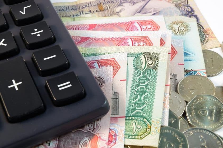 متحدہ عرب امارات کے مختلف نوٹوں اور سکوں کی نزدیک سے تصویر