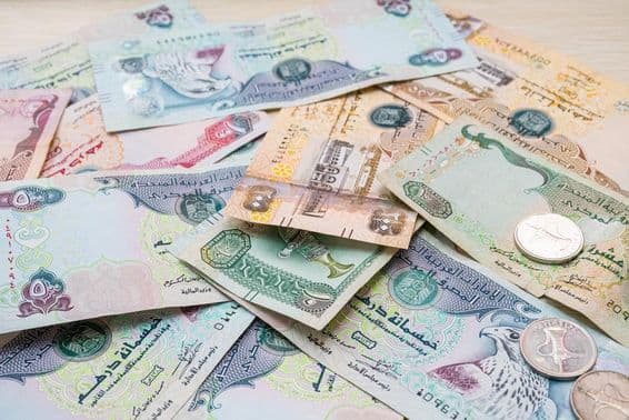مختلف اماراتی درہم کرنسی بینک نوٹ اور سکوں۔