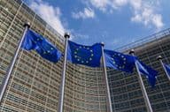 یورپی یونین کے جھنڈے ہوا میں لہراتے ہوئے۔