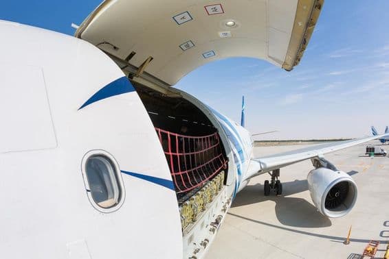 دبئی میں فریٹ لوڈنگ کے لئے تیار کارگو طیارے