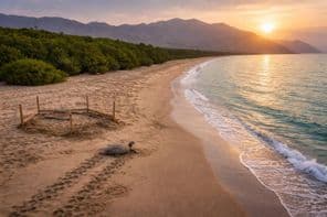 کلبہ بیچ کا محفوظ خزانہ